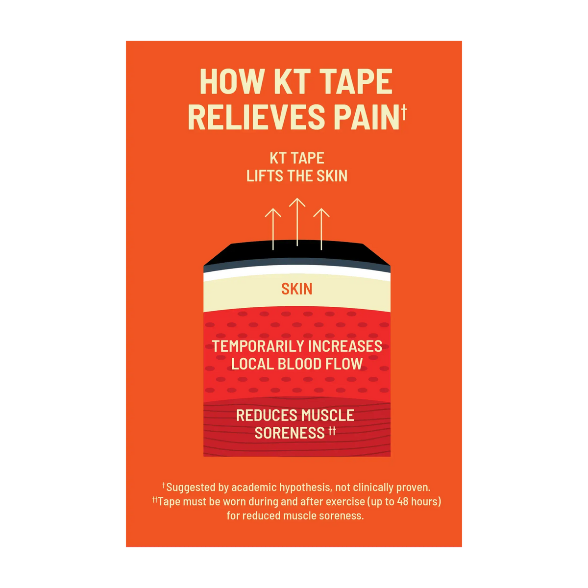 Infographic showing how kinesiology tape lifts the skin to temporarily increase local blood flow and reduce muscle soreness.